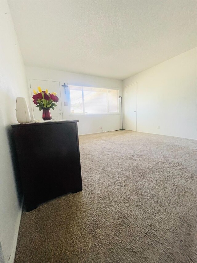 unfurnished room with carpet floors and a textured ceiling