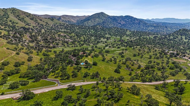 24647 Pittman Hill Rd, Clovis, CA 93619 - photo 4