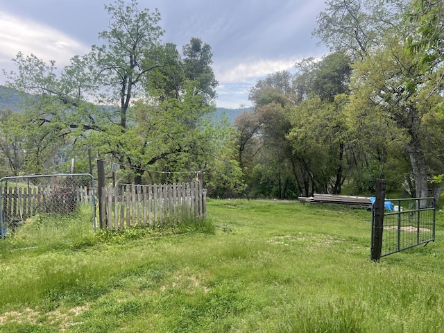 50364 Rd 426, Oakhurst, CA 93644 - view of yard with fence