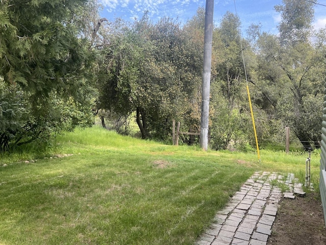 50364 Rd 426, Oakhurst, CA 93644 - view of yard