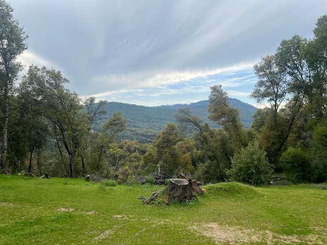 50364 Rd 426, Oakhurst, CA 93644 - mountain view featuring a wooded view