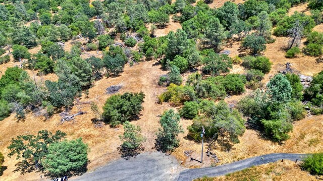 1812 Sentinel Ct, Coarsegold, CA 93614 - photo 6