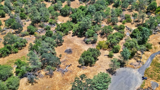 1812 Sentinel Ct, Coarsegold, CA 93614 - photo 7
