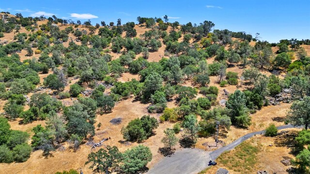 1812 Sentinel Ct, Coarsegold, CA 93614 - photo 5
