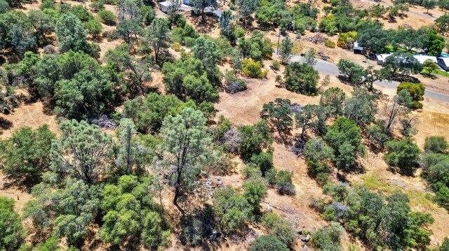 1812 Sentinel Ct, Coarsegold, CA 93614 - photo 9