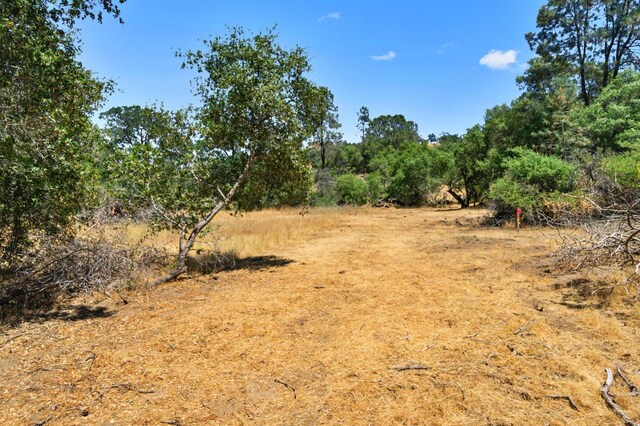 1812 Sentinel Ct, Coarsegold, CA 93614 - photo 1