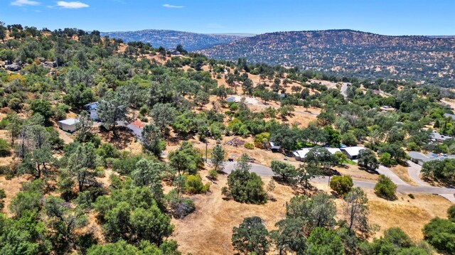 1812 Sentinel Ct, Coarsegold, CA 93614 - photo 8