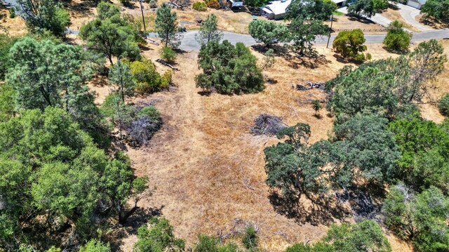 1812 Sentinel Ct, Coarsegold, CA 93614 - photo 4