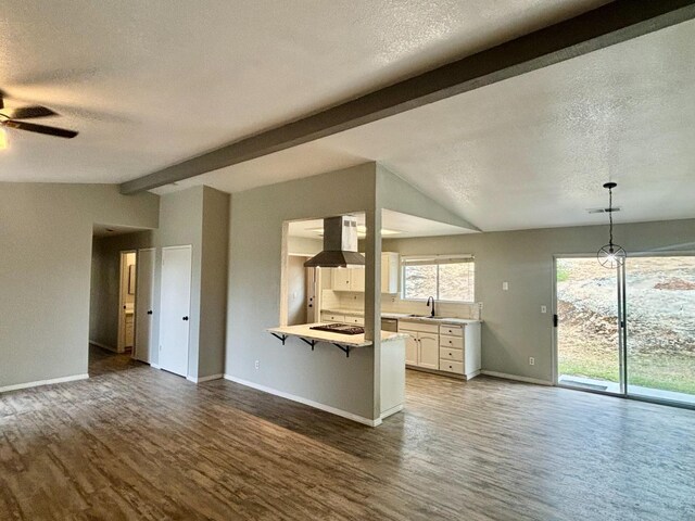 28813 Limestone Cir, Coarsegold, CA 93614 - unfurnished living room with a sink, a textured ceiling, wood finished floors, a ceiling fan, and baseboards