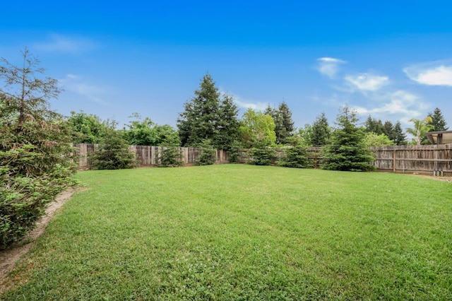 view of yard with a fenced backyard