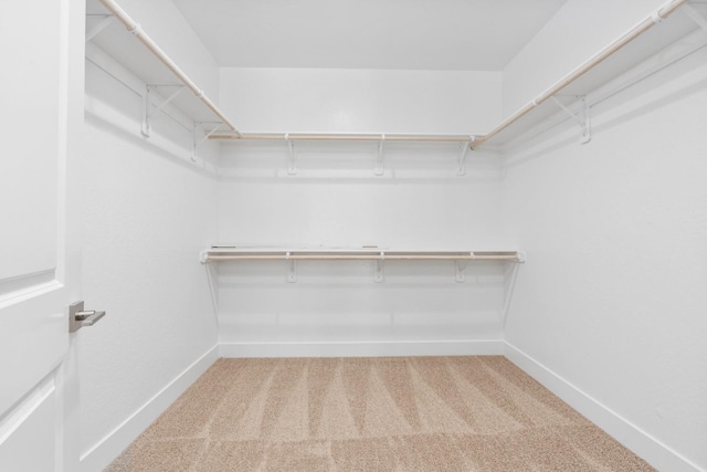 spacious closet with carpet flooring