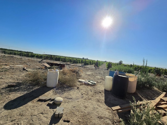 12441 S Henderson Rd, Caruthers, CA 93609 - view of yard