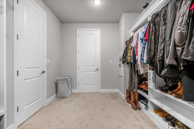 2653 Vermont Ave, Clovis, CA 93619 - walk in closet with carpet floors