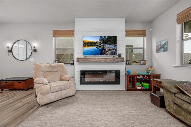 2653 Vermont Ave, Clovis, CA 93619 - living area with a glass covered fireplace