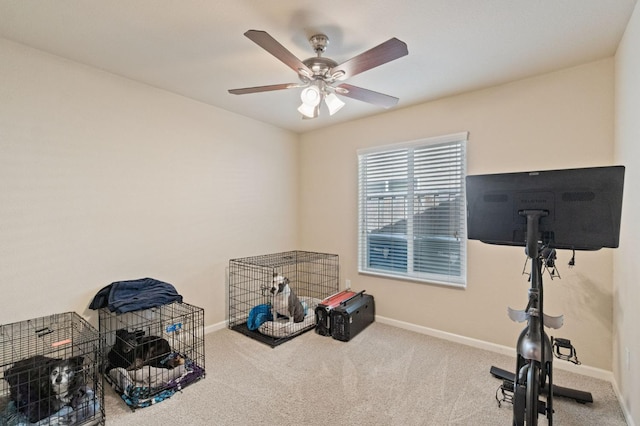 interior space with carpet flooring, a ceiling fan, and baseboards