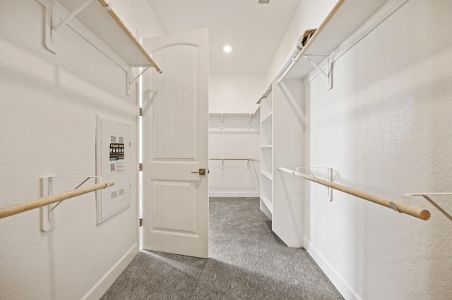 11182 N Via Ravenna Dr, Fresno, CA 93730 - spacious closet featuring carpet