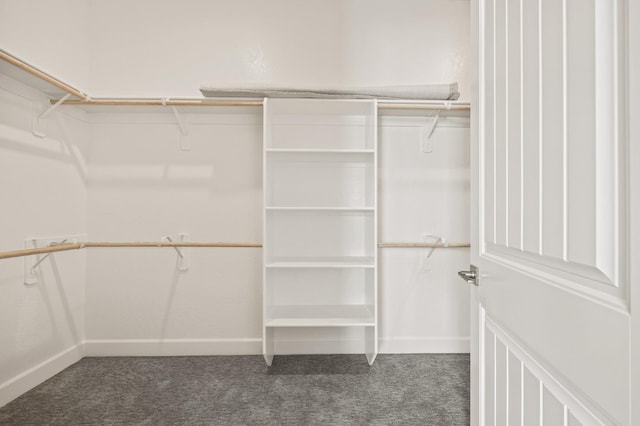 11182 N Via Ravenna Dr, Fresno, CA 93730 - walk in closet with carpet