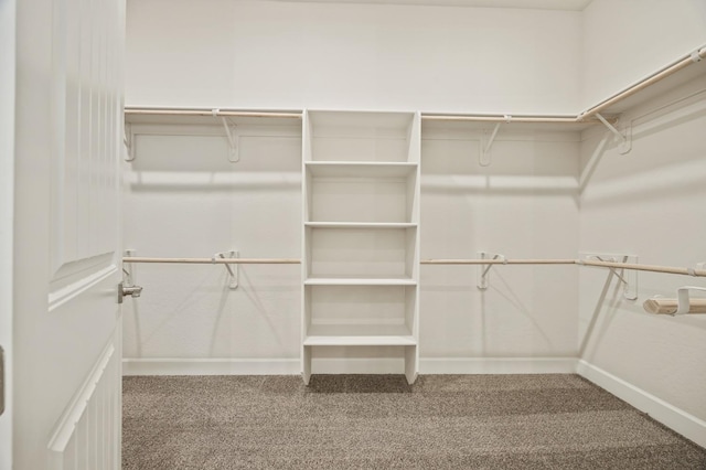 spacious closet with carpet floors