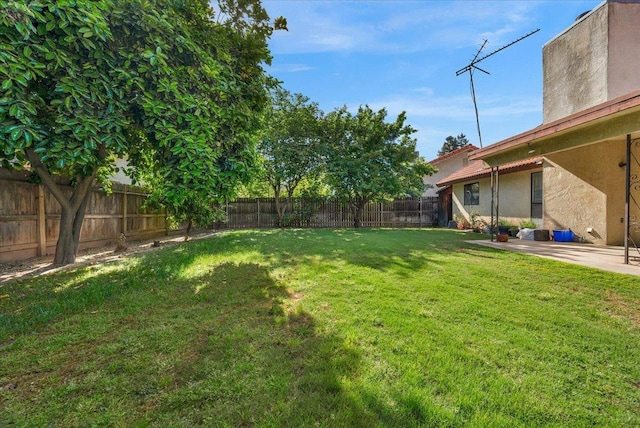 1607 E Everglade Ave, Fresno, CA 93720 - view of yard with a patio area