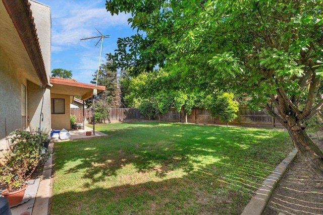 1607 E Everglade Ave, Fresno, CA 93720 - view of yard with a patio