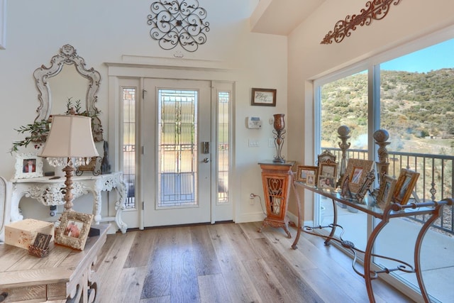 foyer entrance featuring a healthy amount of sunlight, baseboards, and wood finished floors