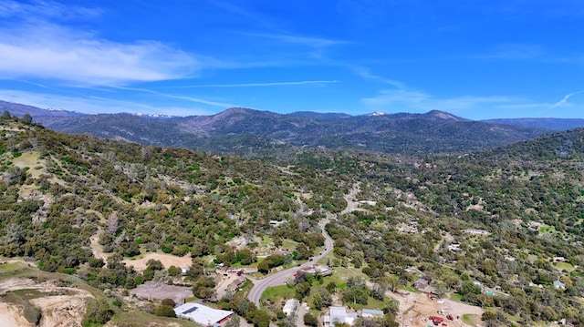 birds eye view of property featuring a mountain view