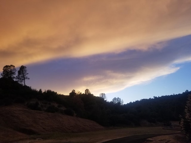 42038 Empty Creek Rd, Oakhurst, CA 93644 - view of street