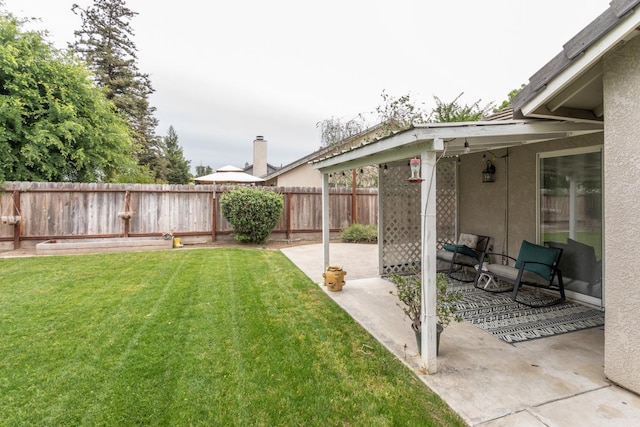 view of yard featuring a fenced backyard and a patio