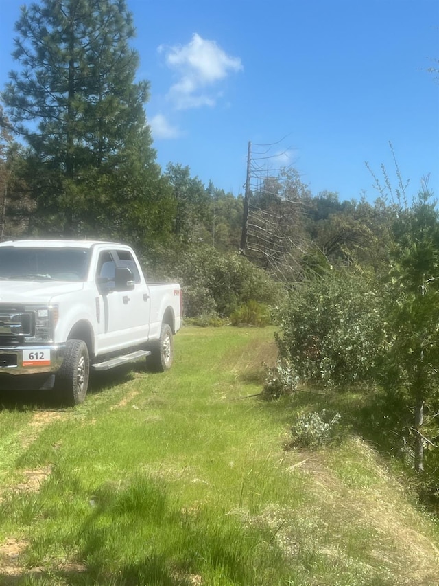 6225 Old Mill Rd, Mariposa, CA 95338 - photo 10