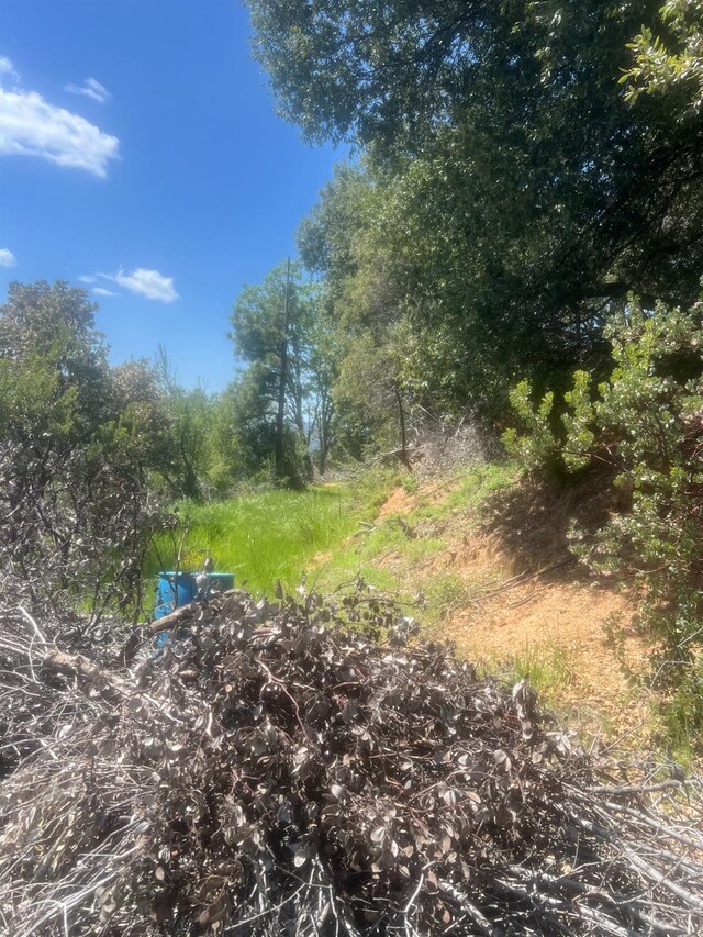 6225 Old Mill Rd, Mariposa, CA 95338 - photo 9