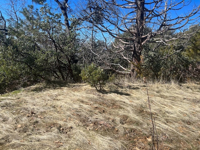 6225 Old Mill Rd, Mariposa, CA 95338 - photo 3