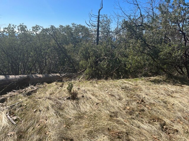 6225 Old Mill Rd, Mariposa, CA 95338 - photo 4