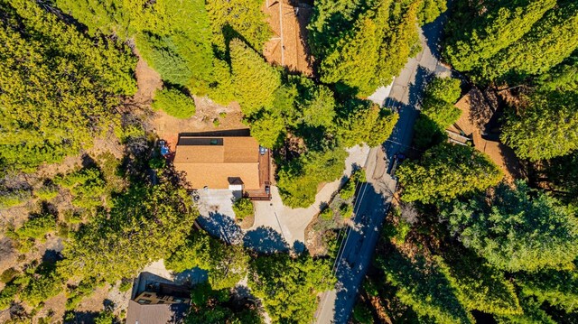 1163 Silvertip Ln, Fish Camp, CA 93623 - photo 23