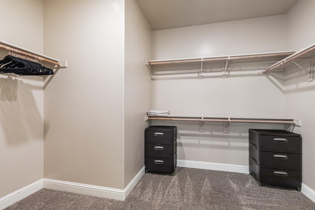 walk in closet featuring carpet