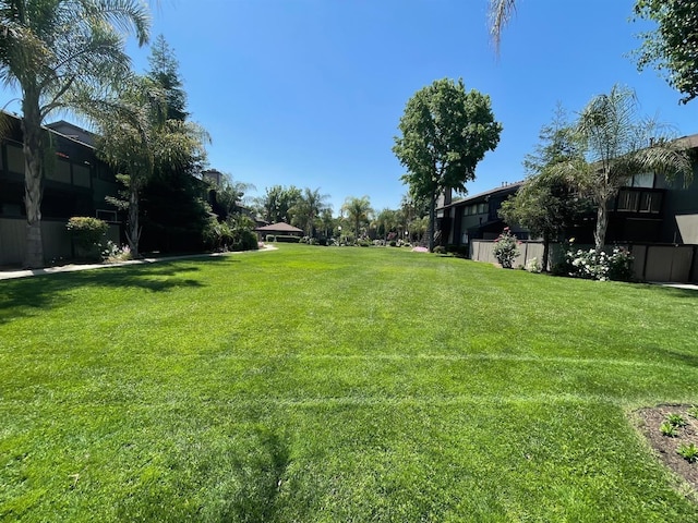 1151 S Chestnut Ave Unit 146, Fresno, CA 93702 - view of yard