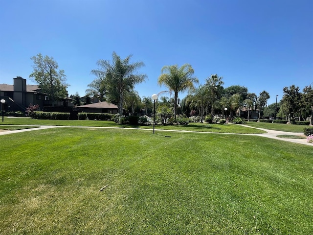 1151 S Chestnut Ave Unit 146, Fresno, CA 93702 - view of property's community featuring a yard