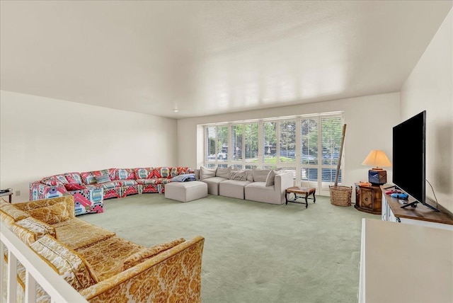 living area with carpet flooring