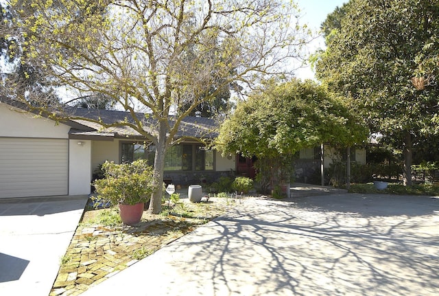 41493 Rd 96, Dinuba, CA 93618 - photo 2