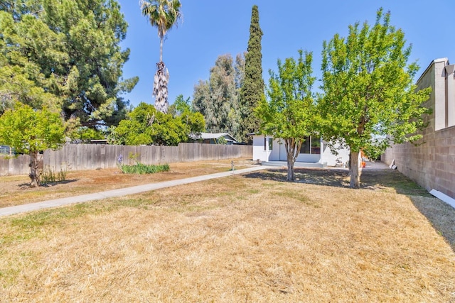 227 E Pine Ave, Fresno, CA 93728 - view of yard