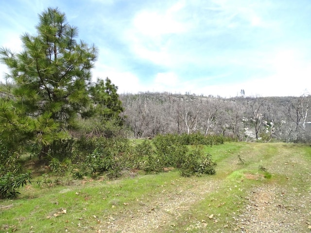36728 Peterson Rd, Auberry, CA 93602 - photo 31
