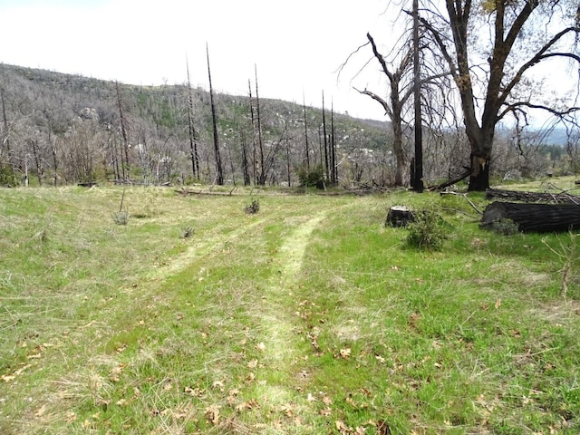 36728 Peterson Rd, Auberry, CA 93602 - photo 18
