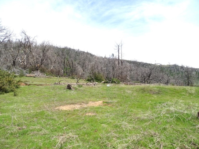 36728 Peterson Rd, Auberry, CA 93602 - photo 27
