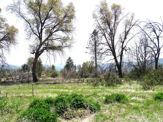 36728 Peterson Rd, Auberry, CA 93602 - photo 23