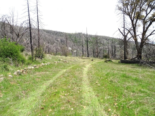 36728 Peterson Rd, Auberry, CA 93602 - photo 19