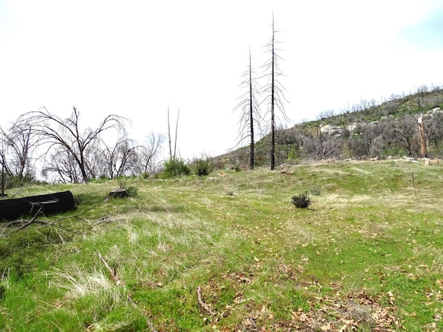 36728 Peterson Rd, Auberry, CA 93602 - photo 16