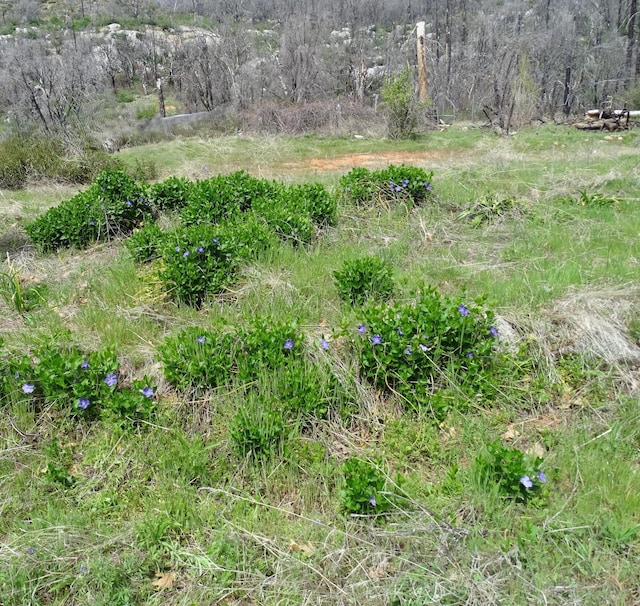 36728 Peterson Rd, Auberry, CA 93602 - photo 24