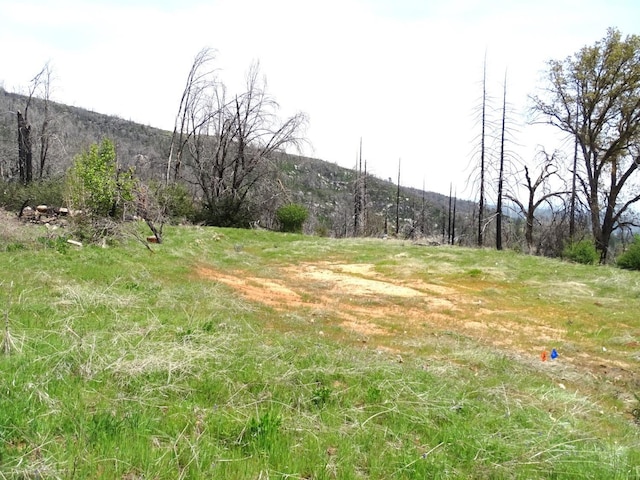 36728 Peterson Rd, Auberry, CA 93602 - photo 26