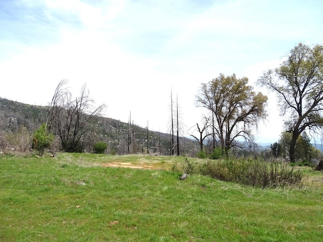 36728 Peterson Rd, Auberry, CA 93602 - photo 20