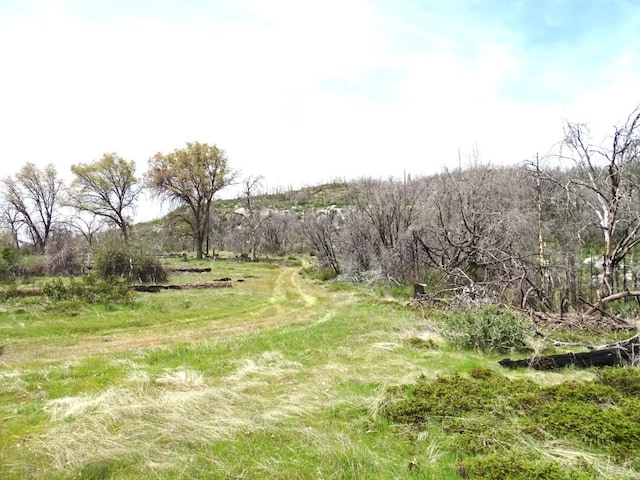 36728 Peterson Rd, Auberry, CA 93602 - photo 29
