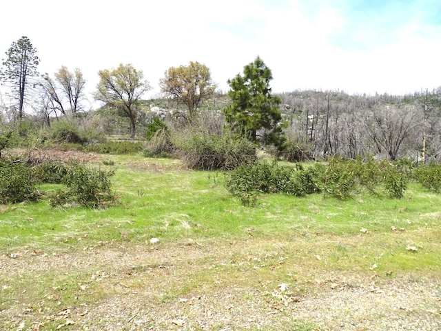 36728 Peterson Rd, Auberry, CA 93602 - photo 30